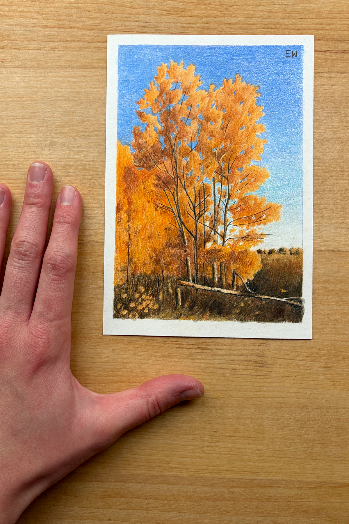 Crisp Fall Evening