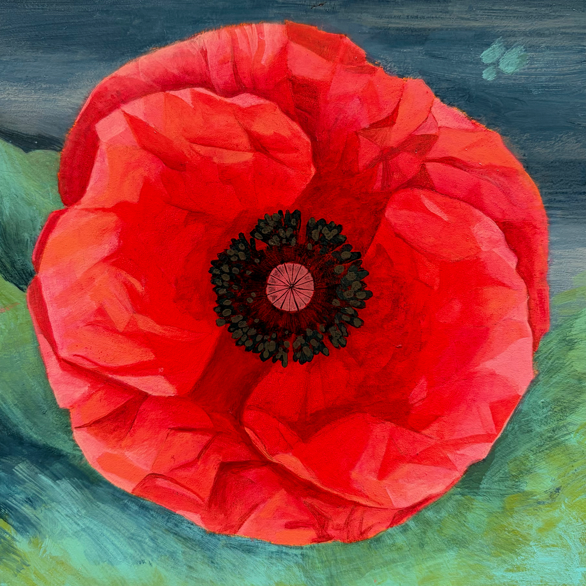 Summer Poppies
