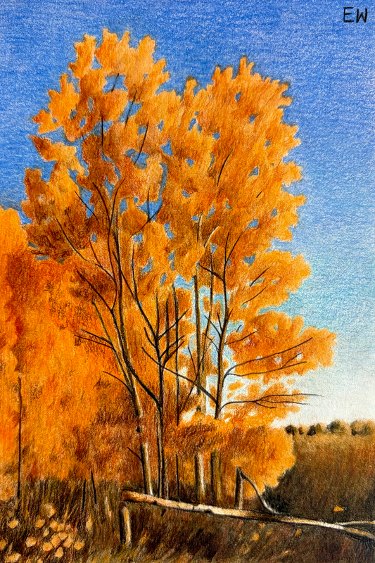 Crisp Fall Evening